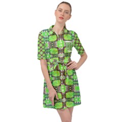 Belted Shirt Dress 