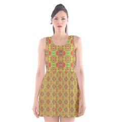 Scoop Neck Skater Dress 