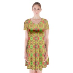 Serious (2) Short Sleeve V