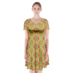 Serious (2) Short Sleeve V-neck Flare Dress