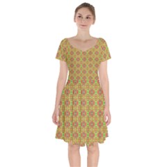 Short Sleeve Bardot Dress 
