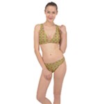 Serious (2) Classic Banded Bikini Set 