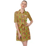 Serious (2) Belted Shirt Dress