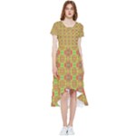 Serious (2) High Low Boho Dress