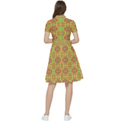 Short Sleeve Waist Detail Dress 