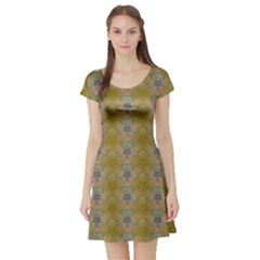 Short Sleeve Skater Dress Front Short Sleeve Skater Dress Front