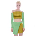Flower Girl Togo Off Shoulder Top with Mini Skirt Set