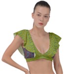 My Arg  Aisle Vib Bibi (2) Plunge Frill Sleeve Bikini Top