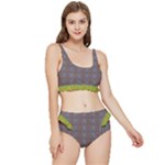 My Arg  Aisle Vib Bibi (2) Frilly Bikini Set