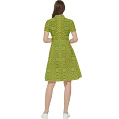 Short Sleeve Waist Detail Dress 