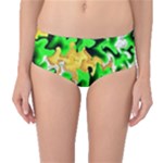 Petals (2) 3021 Mid-Waist Bikini Bottoms