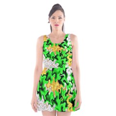 Scoop Neck Skater Dress 