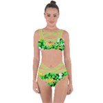 Petals (2) 3021 Bandaged Up Bikini Set 