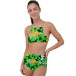 Petals (2) 3021 High Waist Tankini Set