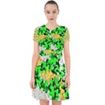 Petals (2) 3021 Adorable in Chiffon Dress