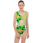 Petals (2) 3021 Center Cut Out Swimsuit
