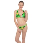 Petals (2) 3021 Classic Banded Bikini Set 