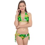 Petals (2) 3021 Tie It Up Bikini Set