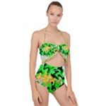 Petals (2) 3021 Scallop Top Cut Out Swimsuit
