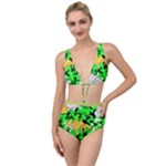 Petals (2) 3021 Tied Up Two Piece Swimsuit
