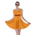 Apricot Orange Skater Dress