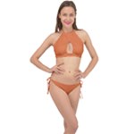 Coral Rose Cross Front Halter Bikini Set