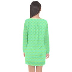 Long Sleeve Chiffon Shift Dress  