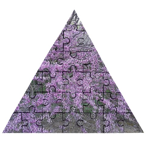 T4 Wooden Puzzle Triangle from ArtsNow.com