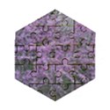 Wooden Puzzle Hexagon 