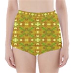 Triba (2) High-Waisted Bikini Bottoms