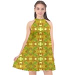 Triba (2) Halter Neckline Chiffon Dress 
