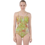 Watercolor Autumn (2) Cut Out Top Tankini Set