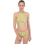 Watercolor Autumn (2) Racer Front Bikini Set
