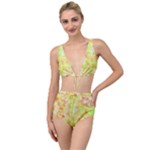 Watercolor Autumn (2) Tied Up Two Piece Swimsuit