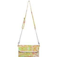 Mini Crossbody Handbag 