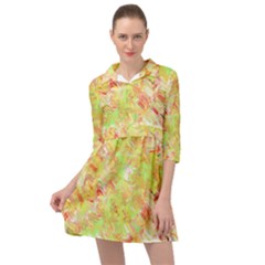 Mini Skater Shirt Dress 
