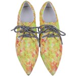 Watercolor Autumn (2) Pointed Oxford Shoes