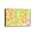 Mini Canvas 6  x 4  (Stretched) 