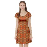 Curviness (2) Short Sleeve Skater Dress