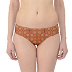 Curviness (2) Hipster Bikini Bottoms
