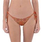 Curviness (2) Reversible Bikini Bottom