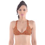 Curviness (2) Plunge Bikini Top