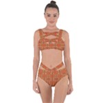 Curviness (2) Bandaged Up Bikini Set 