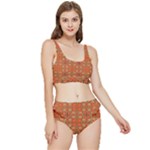 Curviness (2) Frilly Bikini Set