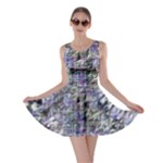 Fanciful (2) Skater Dress