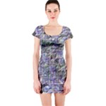 Fanciful (2) Short Sleeve Bodycon Dress