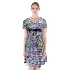 Fanciful (2) Short Sleeve V