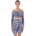 Fanciful (2) Off Shoulder Top with Skirt Set