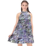Fanciful (2) Halter Neckline Chiffon Dress 