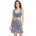 Fanciful (2) Velvet Cutout Dress